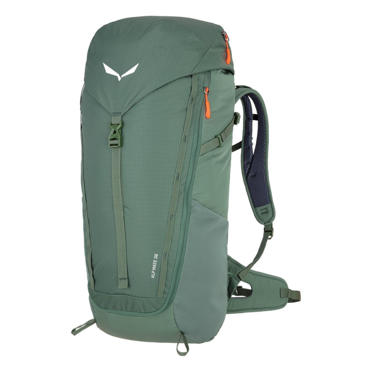 Salewa Alp Mate 36L Sırt Çantası Yeşil Türkiye 863152EAD